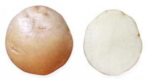 Никулинский