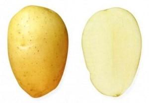 Памяти Рогачева