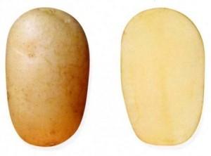 Русский сувенир